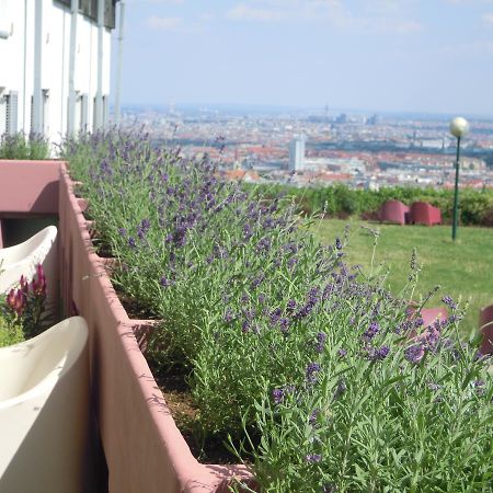 Palace Hostel Vienna Exterior photo